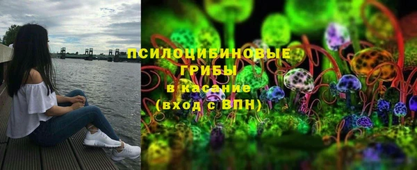 прущие крисы Абинск