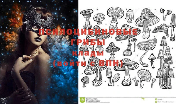 PSILOCYBIN Алексин