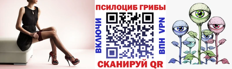 купить закладку  Новокузнецк  Галлюциногенные грибы Psilocybine cubensis 